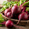 Grow-Ready Beet Seeds - urban garden seed set