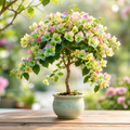 Grow-Ready Bougainvillea Seeds Reserve - urban garden seed set