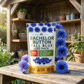 Grow-Ready Cornflower Seeds - urban garden seed set