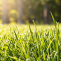 Grow-Ready Grass Seeds - urban garden seed set