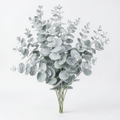 Grow-Ready Silver Leaf Eucalyptus Seeds - urban garden seed set