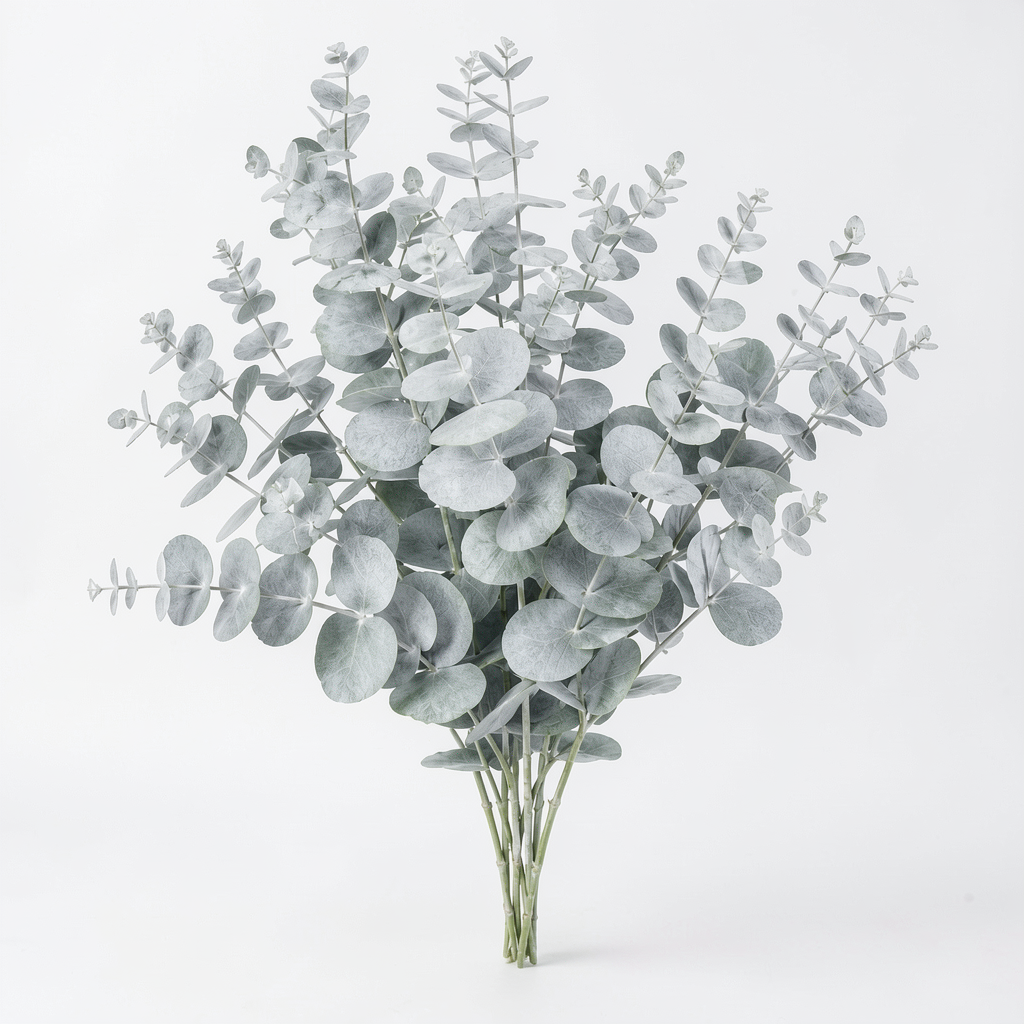Grow-Ready Silver Leaf Eucalyptus Seeds - urban garden seed set