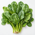 Grow-Ready Spinach Seeds - urban garden seed set